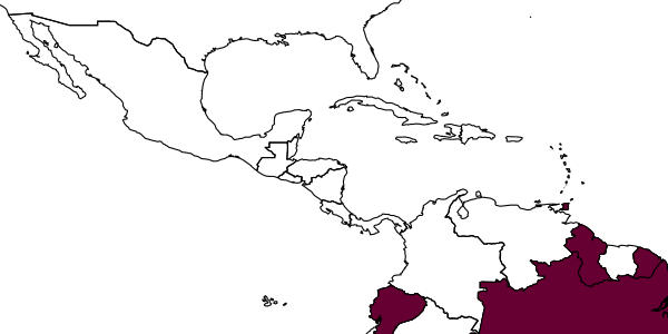 map of Foxita atorai     Pate, 1942